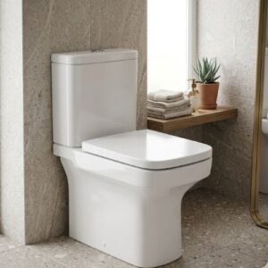 Back-to-wall ceramic toilet set with a fully skirted porcelain base and Alpine White gloss finish, styled against neutral stone tiles in a modern interior.